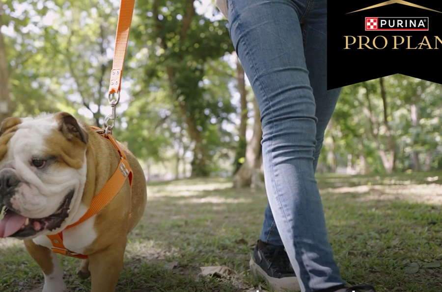 Purina Pro Plan
